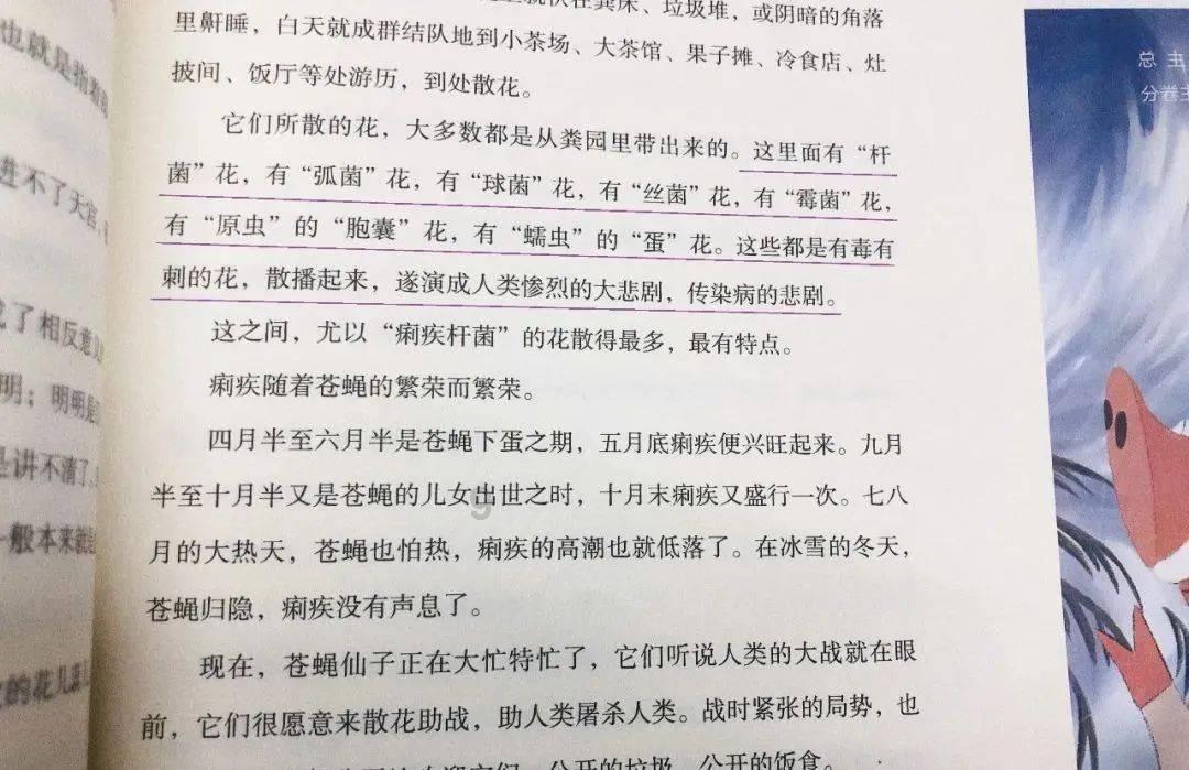 黎明杀机
