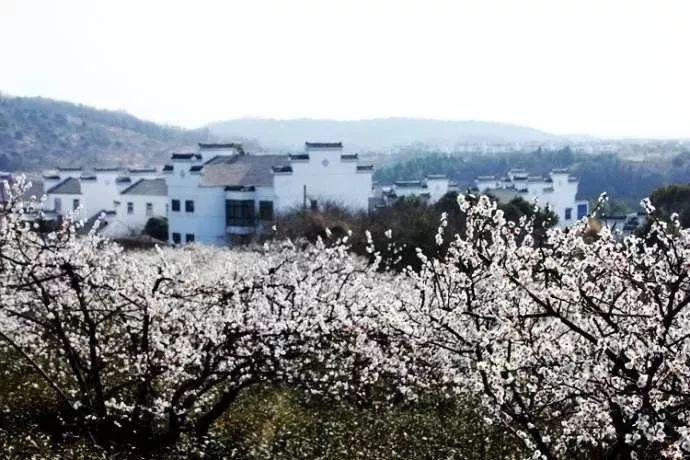 自己的奶水比较少，多吃什么食物可以催奶？游戏画面