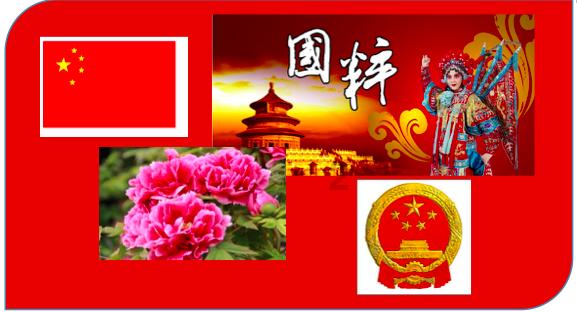 金牌保镖熊先生